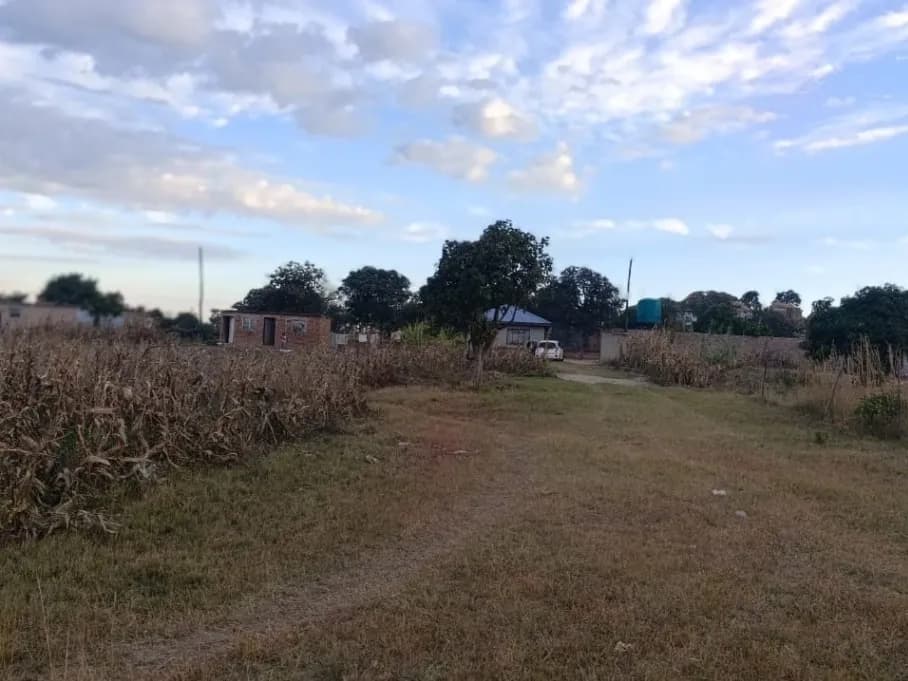 View 10