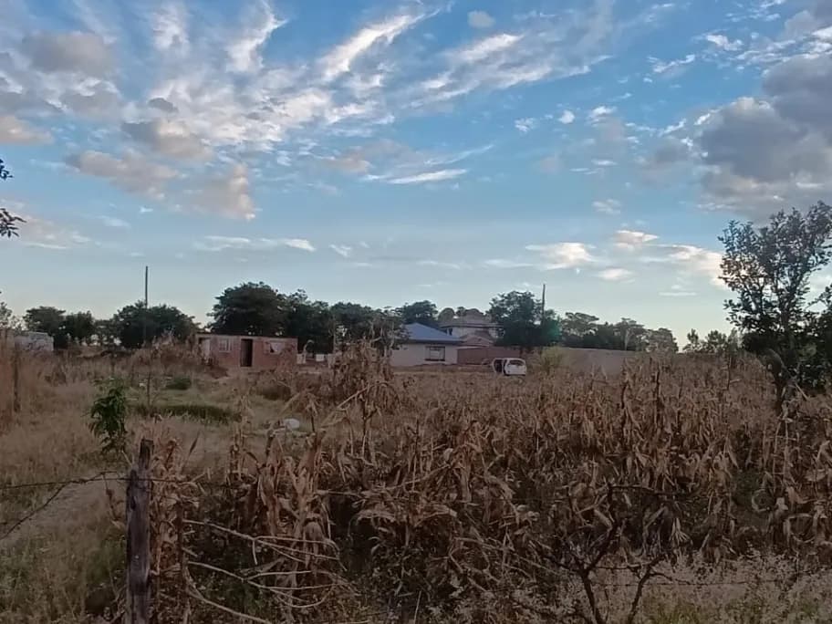 View 7