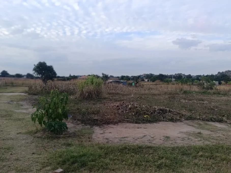 View 1