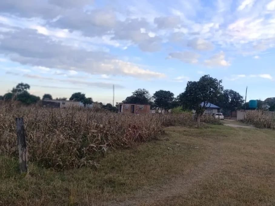 View 9