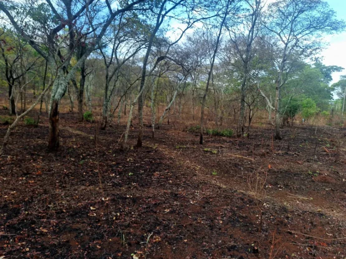 View 9