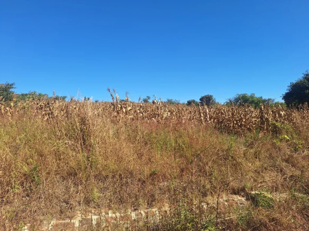 View 14