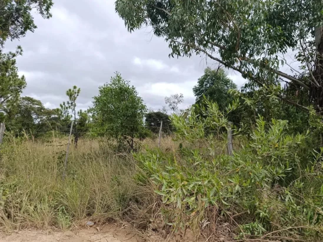 View 19