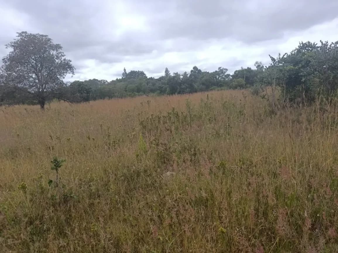 View 27