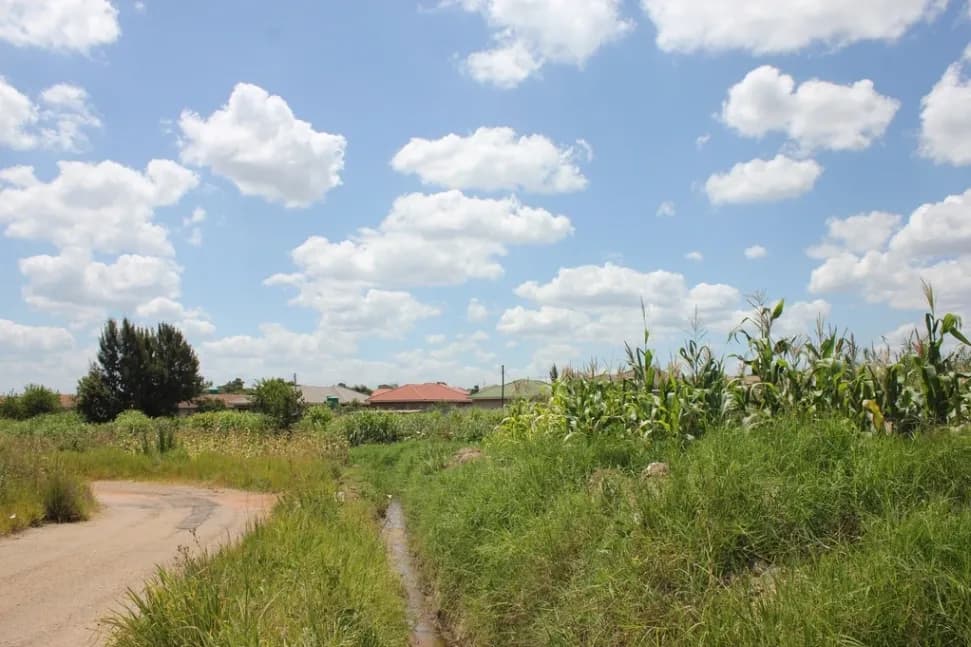 View 9