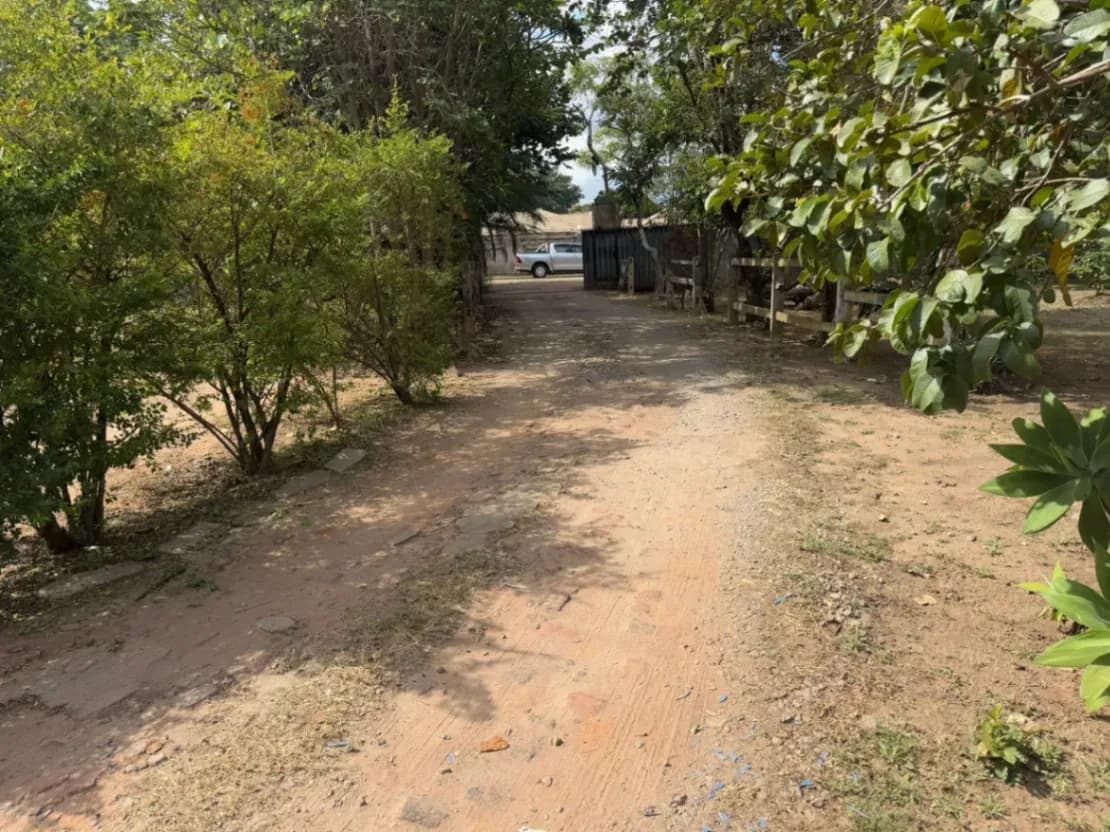 View 8