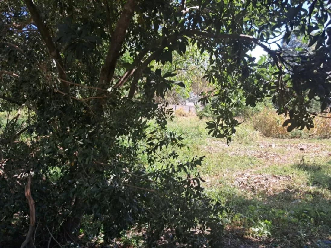 View 8
