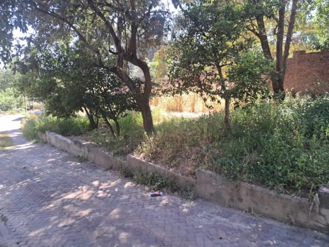 View 9