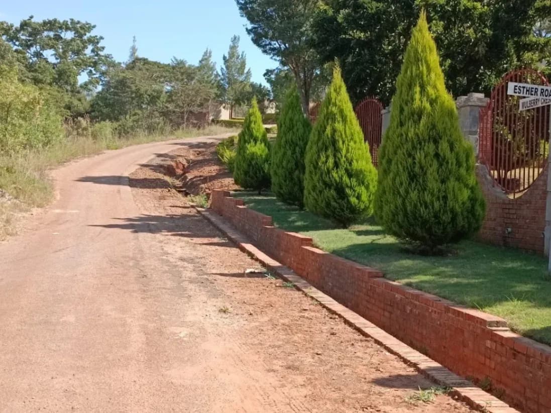 View 3