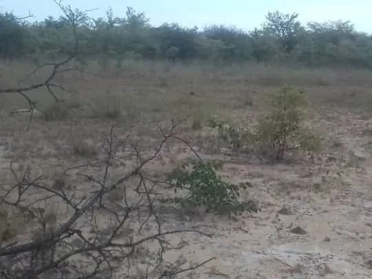 View 15
