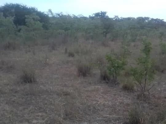 View 17
