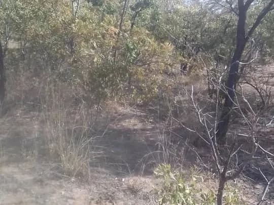 View 12