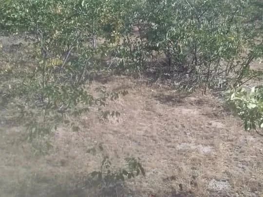 View 14