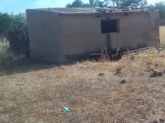 View 16