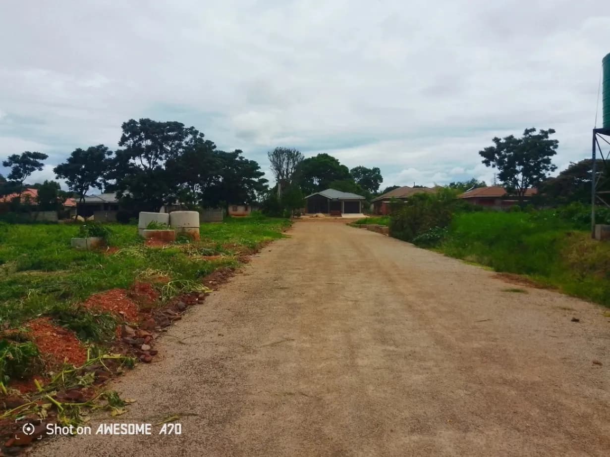 View 14