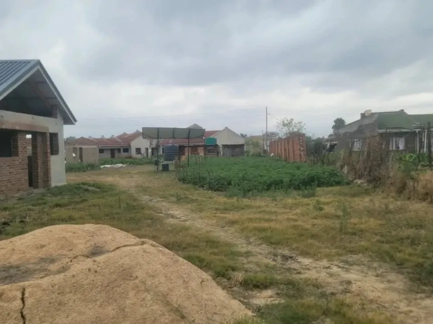View 1